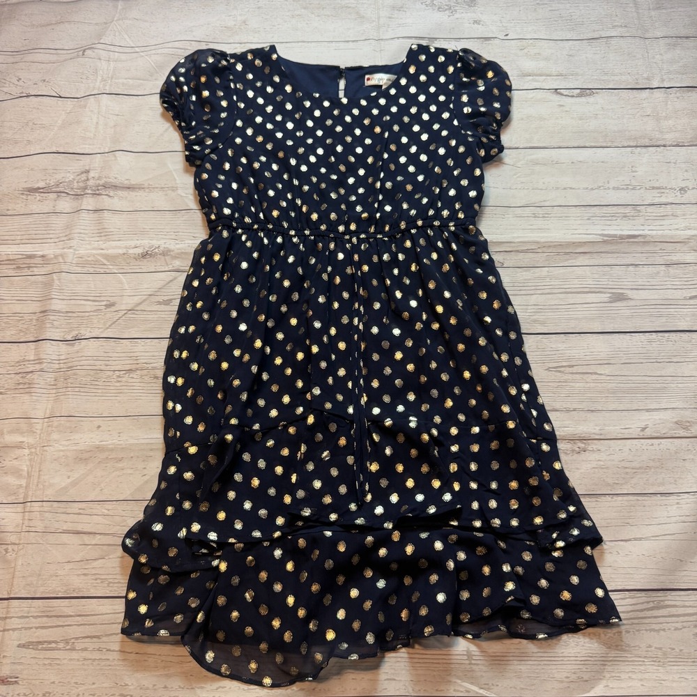 Stunning Girls Poppies and Roses Dress Wedding Party Dance Blue Youth Size Large